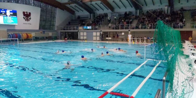 Pracowity weekend waterpolistów Alfy