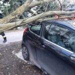 Fot: www.facebook.com/998klodawa