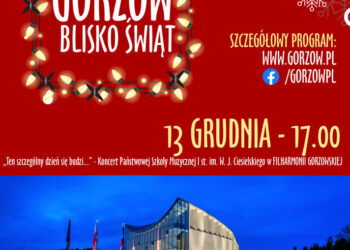 Grafika: Urząd Miasta Gorzowa