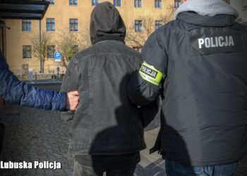 19-latek z zarzutem zabójstwa starszej kobiety w Brójcach