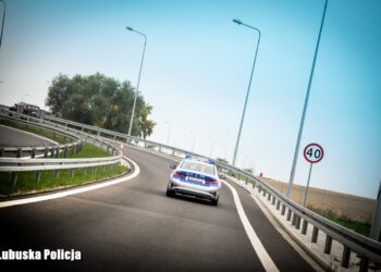 Dobry rok na lubuskich i gorzowskich drogach