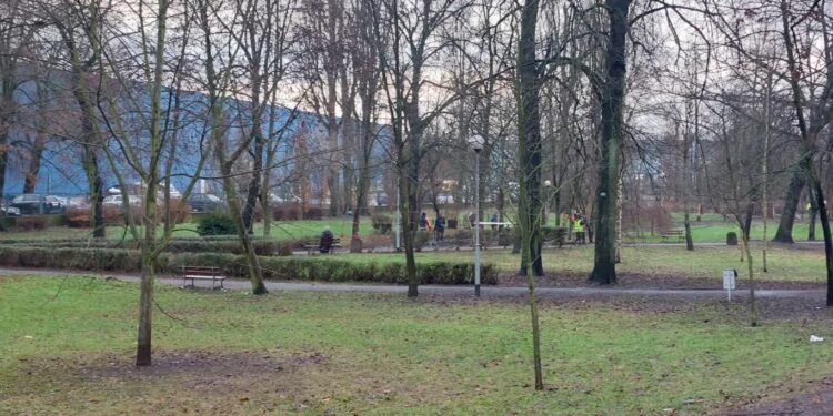 Budki i poidła dla ptaków na gorzowskich skwerach