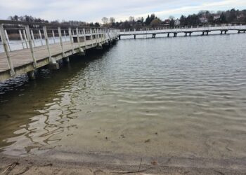 Zimowy zakwit w jeziorze Reczynek