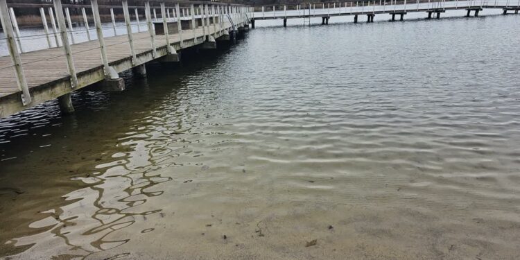 Zimowy zakwit w jeziorze Reczynek