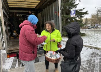 Choinki dla alpak czyli wielkie świąteczne sprzątanie