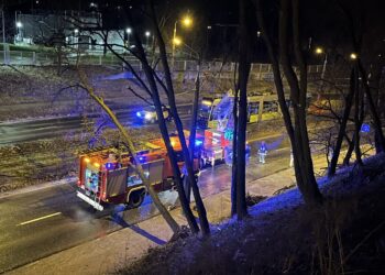 Samochód strażacki przygnieciony drzewem na Pomorskiej