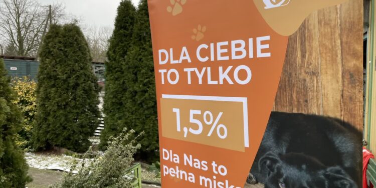 1,5% dla schroniska