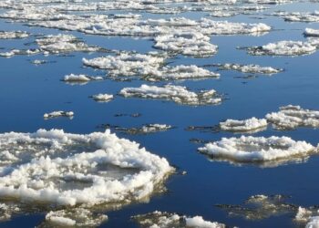 Wartą płynie śryż