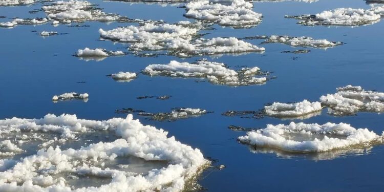 Wartą płynie śryż