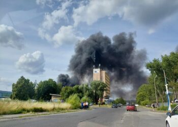 Biegli prokuratury: 65 hektarów zostało skażonych!