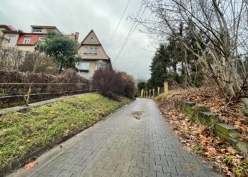 Fot. Tomasz Krawczyk