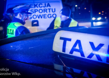 Kierowco, sprawdź swoją licencję!