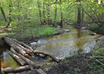 Fot. PTTK Ziemia Gorzowska