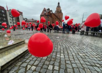 Las serc w sercu Gorzowa