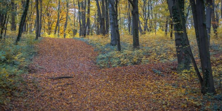 Kończy się przetarg na Dirt Park. Urzędnicy czekają jeszcze na oferty