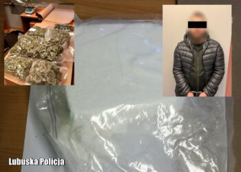 Pościg, zatrzymanie, 30 kg narkotyków – brawurowa akcja Lubuskiej Policji