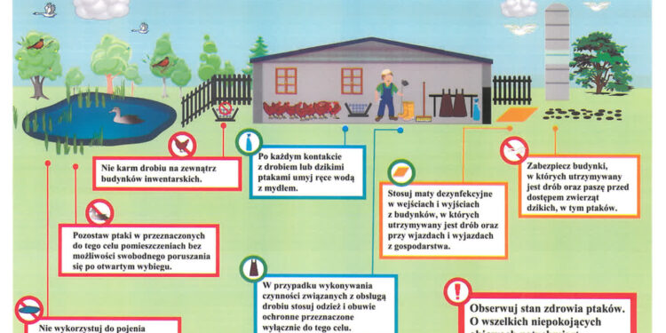 Ptasia grypa w regionie