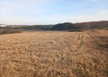 Niedługo ruszy budowa placu dla motocyklistów