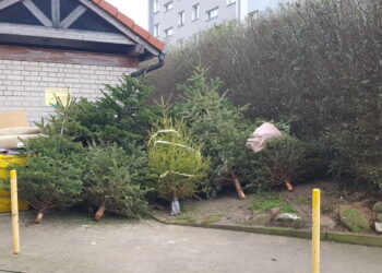 Ostatni dzień odbioru choinek