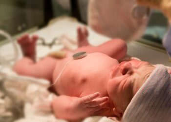 Zdjęcie ilustracyjne. Fot. Envato