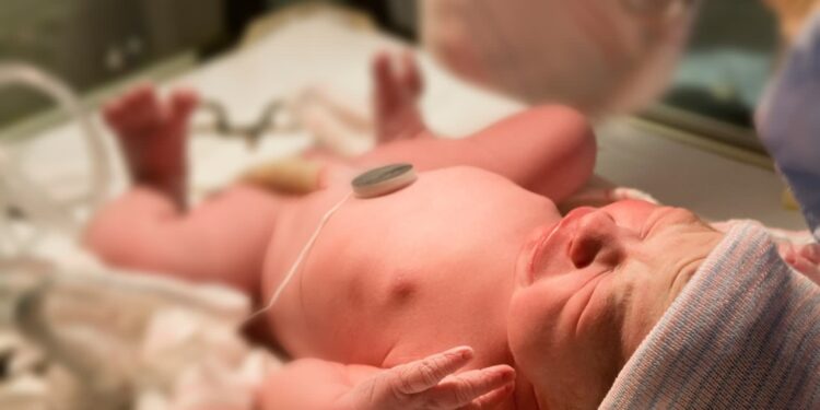 Zdjęcie ilustracyjne. Fot. Envato