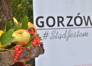 Smaczne wydarzenia na ryneczku przy Jerzego