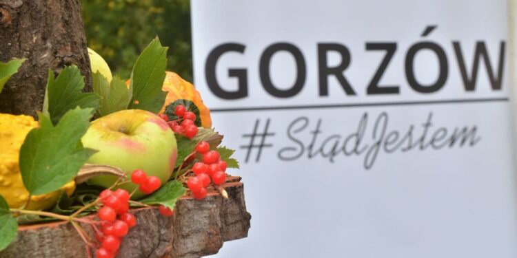 Smaczne wydarzenia na ryneczku przy Jerzego