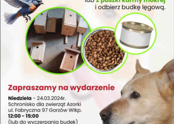 Budka lęgowa za karmę