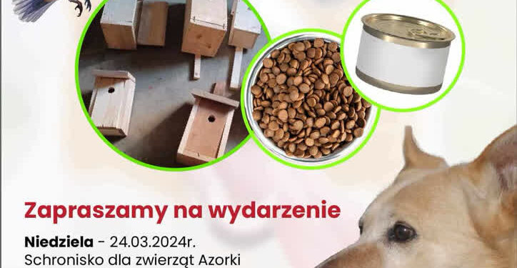 Budka lęgowa za karmę