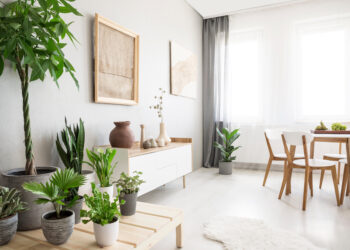 Jakie firany do salonu wybrać na wiosnę?