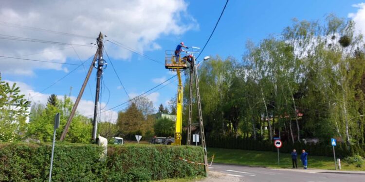 Lokalowe problemy bocianiej pary