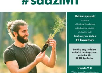 W piątek sadziMY darmowe sadzonki drzew