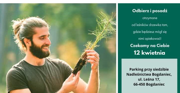 W piątek sadziMY darmowe sadzonki drzew