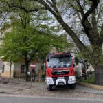 Fot. Piotr Wiśniewski