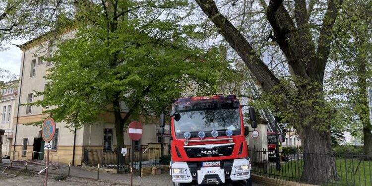 Fot. Piotr Wiśniewski