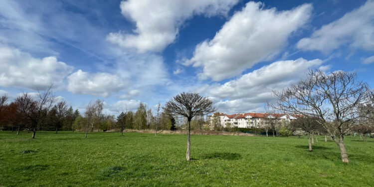 Będzie tor do jazdy na rolkach