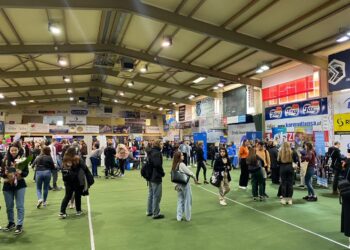 Targi „Absolwencie, co dalej…?”