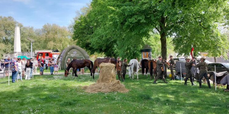 Wojskowy Piknik na placu Grunwaldzkim