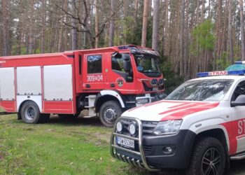 Pożar lasu w Santocku