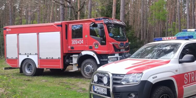 Pożar lasu w Santocku