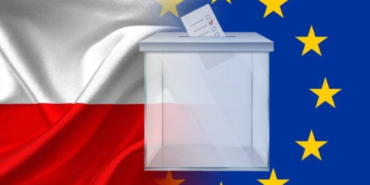 Kandydaci do PE w Lubuskiem. Kto jest „jedynkami” na listach pięciu komitetów?