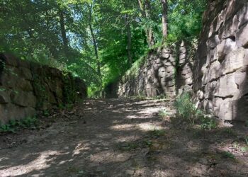 Czy muzealny ogród odzyska blask sprzed 120 lat?