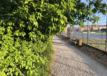 Jak miasto dba o ścieżki rowerowe w Gorzowie?