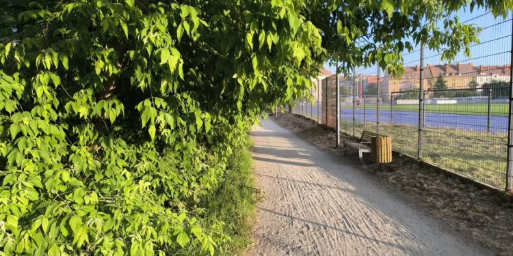 Jak miasto dba o ścieżki rowerowe w Gorzowie?