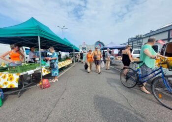 Raport z Ryneczku przy Jerzego