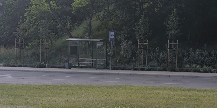 Dlaczego „zielone przystanki” powstają przy parkach?