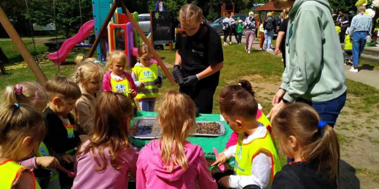 Owady małe i duże – potrzebne naturze