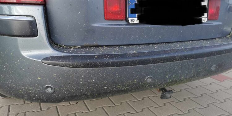 Koszona trawa oklejała zaparkowane samochody