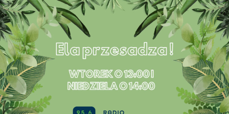 Ela przesadza