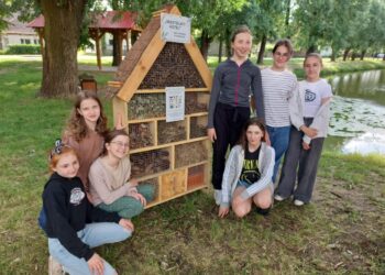 Powstał hotel dla owadów